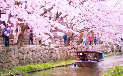 ⛩️ 히무레 하치만구 신사(히무레 하치만구) 이미지 7